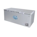 Congélateur Horizontal Skyline 908L Gris 2 Battants SKCC-1200X Grande Capacité Économe en Énergie